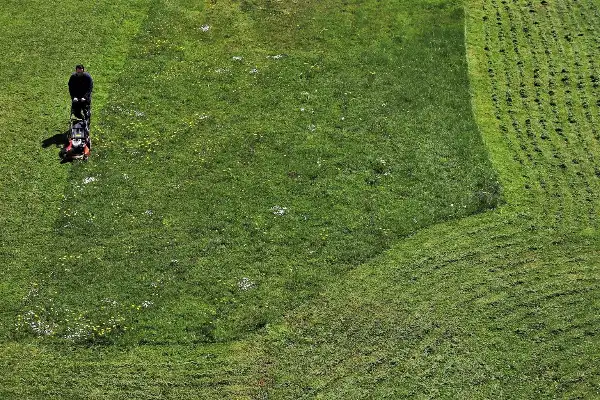 Uredno pokošena velika zelena površina s vidljivim tragovima košnje