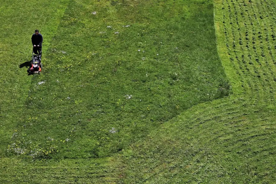 Uredno pokošena velika zelena površina s vidljivim tragovima košnje